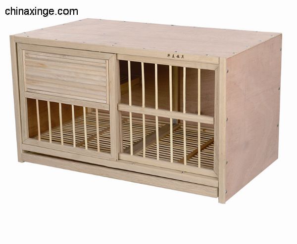 华美鸽具(诚招代理)