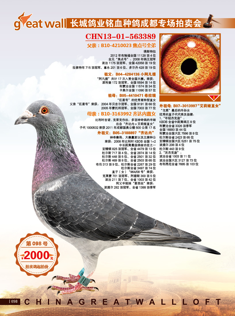 中国-长城鸽业2015年成都拍卖会(5)