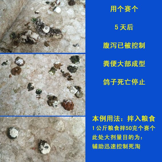 配合用药3天控制球虫腹泻