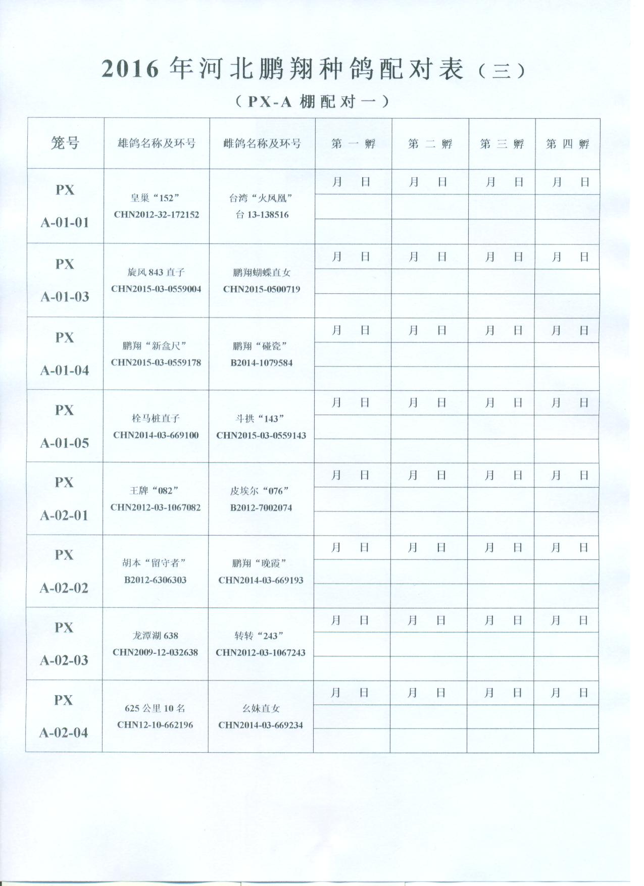 2016年河北鹏翔种鸽配对表
