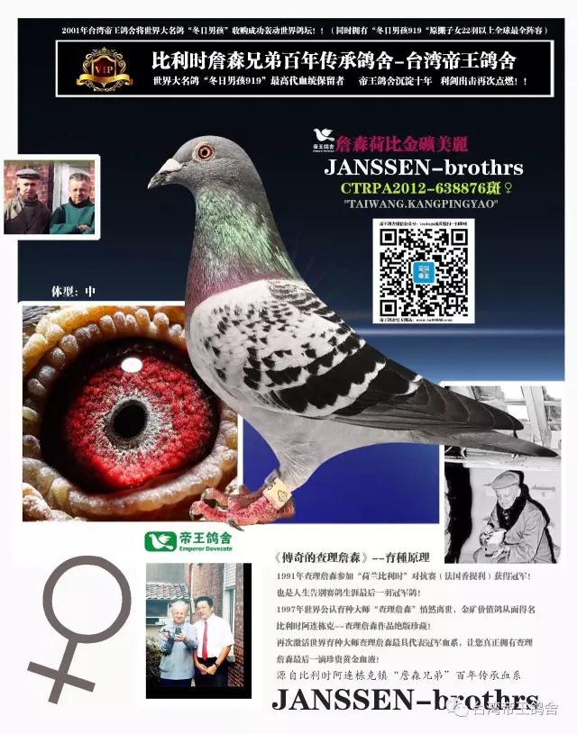 4 詹森荷比金矿美丽 【环 号】:ctrpa2012-638876 【血 统】:比利时