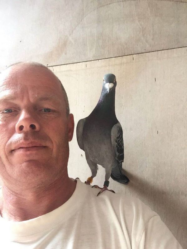 赛事直通车:雷蒙德先生再夺桂冠